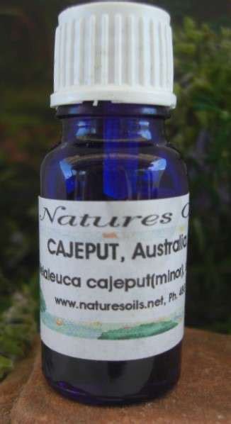 Natural Cajeput Oil for Colds, Flu, Promotes Alertness & Urinary Track Infection for Sale Online ...