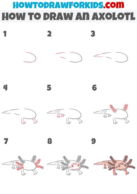 how to draw an axolotl step by step | Drawing tutorial easy, Drawing ...