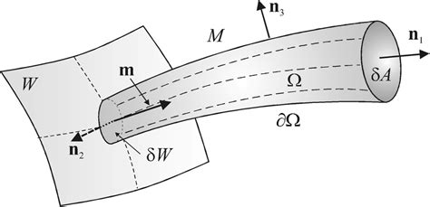 Radiant energy flux through the region Ω. | Download Scientific Diagram