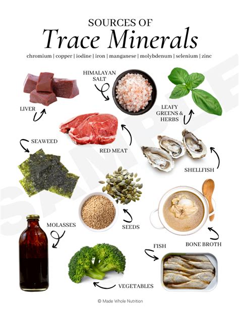 Sources of Trace Minerals Handout — Functional Health Research ...