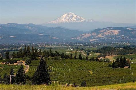 Mount Adams | volcano, stratovolcano