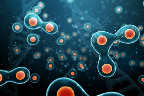 Mechanism For The Division of Artificial Cells - Max Planck Institute