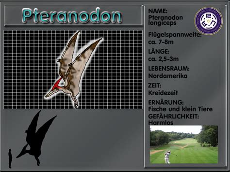 Primeval Pteranodon by Black-Uraby on DeviantArt