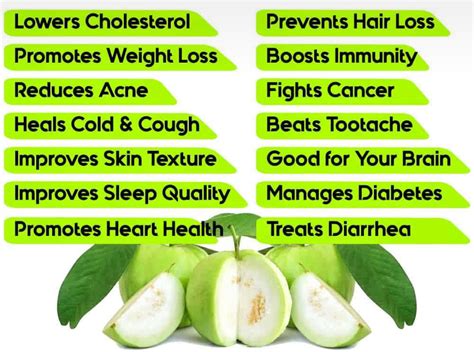 How To Prepare Guava Leaves For Diabetes - DiabetesWalls