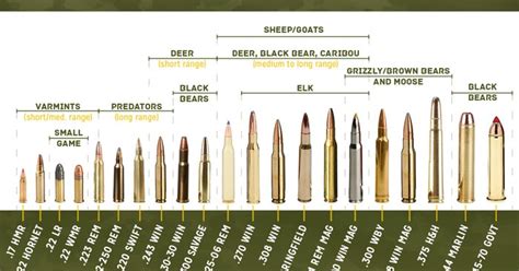 Ammo and Gun Collector: Hunting Calibers Chart With Suitable Game Listed