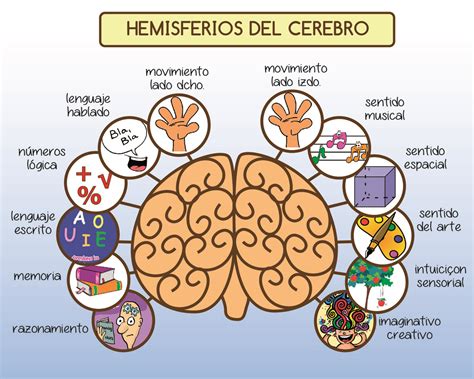 Aprendamos más sobre la Neurociencia: Lateralización, lenguaje y ...