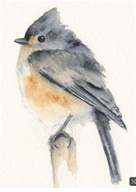 Watercolor Pencil Art, Bird Watercolor Paintings, Watercolor Paintings For Beginners, Watercolor ...