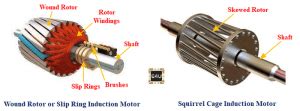 Wound Rotor Induction Motor: What is it? (Diagram & Speed Control ...