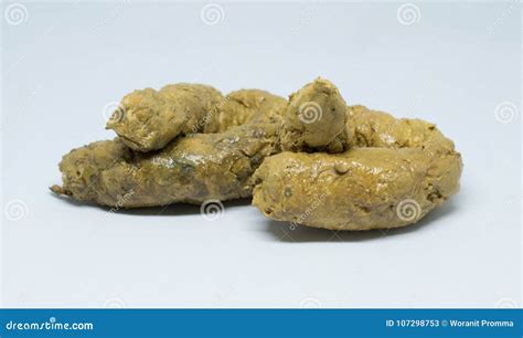 Real Feces on White Background Stock Image - Image of smell, texture ...