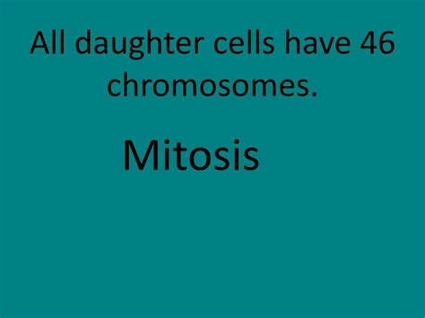 Mitosis = Red Meiosis = Green - ppt download