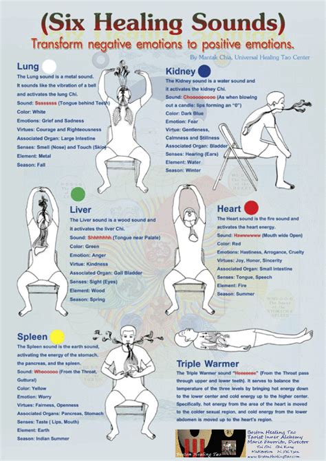 5 Element Qigong and 6 Healing Sounds - samim