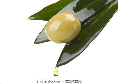 8,311 Olive With Leaves And Olive Oil Drop Images, Stock Photos & Vectors | Shutterstock