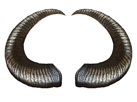 Animal Horns PNG Picture | PNG All