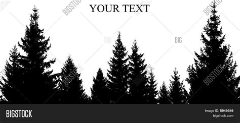 Pinetree Silhouette Vector & Photo (Free Trial) | Bigstock