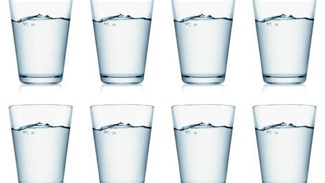 8 glasses of water... a myth | Third Space