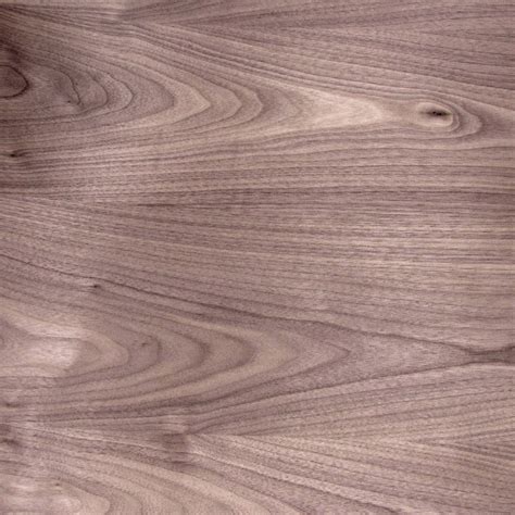 Walnut, American Plain Sliced Wood Veneer | Capitol City Lumber