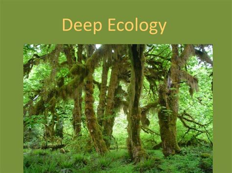 PPT - Deep Ecology PowerPoint Presentation, free download - ID:2048178