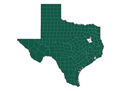 People Stats in Palestine, Texas (Community Demographics)