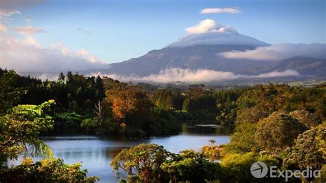 Taranaki Trip Vacation Tutorial | Expedia | Vacation trips, Travel, Travel guide