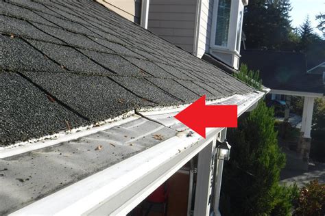 MasterShield Vs. LeafFilter: Gutter Guard System Comparison