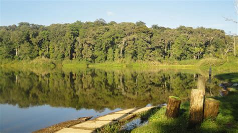 Free stock photo of central sulawesi, danau tambing, indonesia