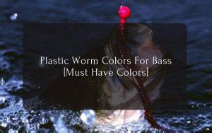 Plastic Worm Colors For Bass (Must Have Worm Colors) - 2023