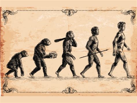 Hominids Evolution Timeline