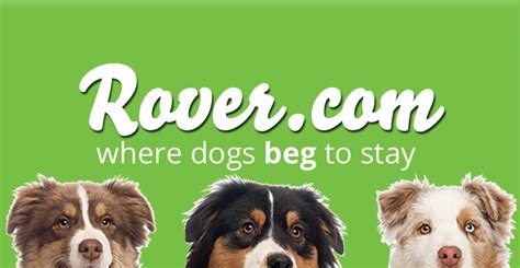 Rover Dog Sitting Review & $20 Promo Code | Puppy Smarts