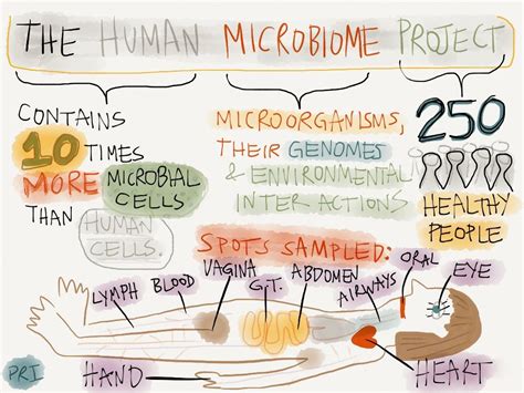 GRAPHIC SCIENCE | The Wag | Human microbiome project, Microbiome, Gut microbiota