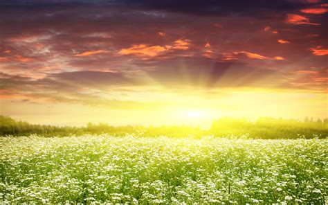 Spring Sunrise Wallpapers - 4k, HD Spring Sunrise Backgrounds on WallpaperBat