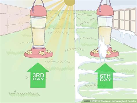 3 Ways to Clean a Hummingbird Feeder - wikiHow