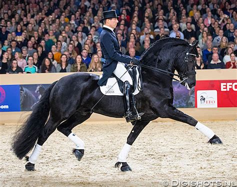 Elias Named Friesian Horse of the Year 2019