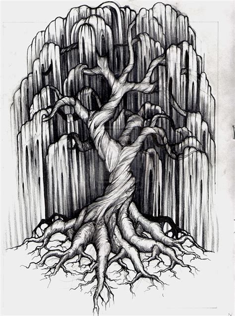 black and white willow tree and a fox clipart 20 free Cliparts | Download images on Clipground 2024