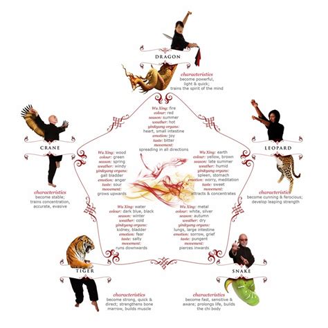 Martial Arts Overview: The 5 Animals Of Kung Fu