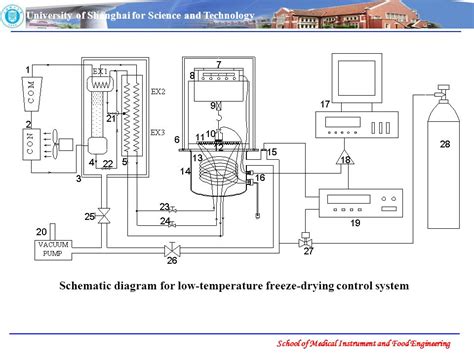 Schematic diagram for low-temperature freeze-drying control system ...