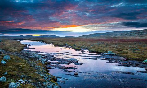 Hardangervidda, Hordaland, Norway. | Norway nature, Norway travel, Hordaland