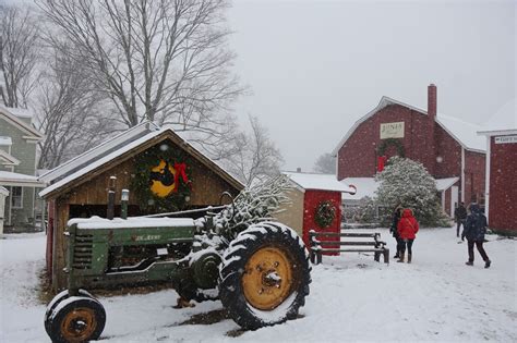 SEEN: Christmas tree shopping at Jones Family Farms