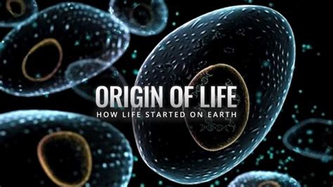 Theories On The Origin Of Life | Origin Of Life Evolution