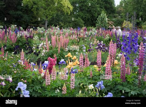 Schreiner's Iris Gardens in Salem, Oregon, USA Stock Photo - Alamy