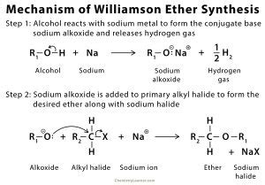 Williamson Ether Synthesis: Definition, Examples, and Mechanism