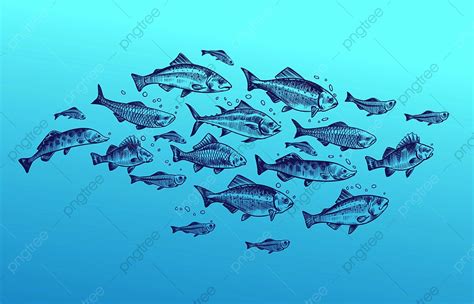 Shoal Of Fish Vector Hd PNG Images, Fish School Shoal Group Hand, Market, Mackerel, Natural PNG ...