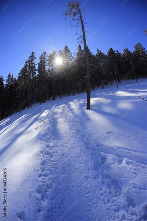 Tatry Zachodnie, West Tatra mountains in winter Stock Photo | Adobe Stock