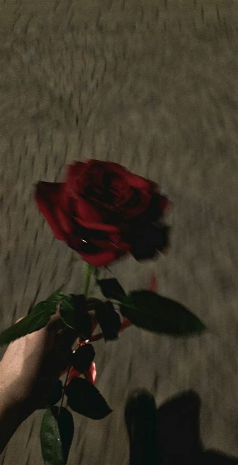 a person holding a red rose in their left hand on the ground with ...