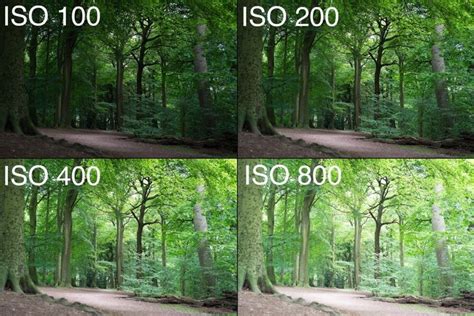 Getting out of Auto: Understanding ISO on your digital camera | Fotografie