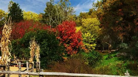 Fall in Virginia- 15 Spots to Enjoy Virginia Fall Colors