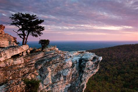 Love to Hike? Check out These 5 Parks Near Raleigh