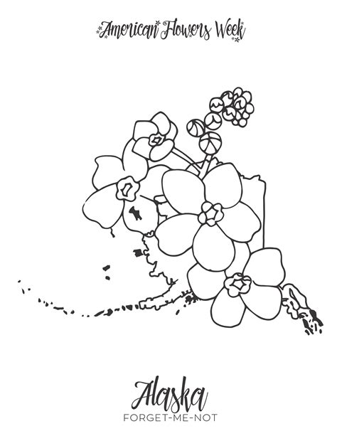 50 State Flowers — Free Coloring Pages – american flowers week