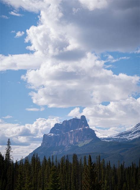 The Ultimate Pet Friendly Guide To Banff National Park