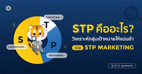 STP คืออะไร? แนะนำวิธีใช้พร้อมอธิบาย STP Marketing จัดเต็ม