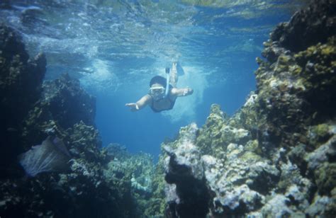 8 Spots for the Best Snorkeling in the Caribbean - IEyeNews